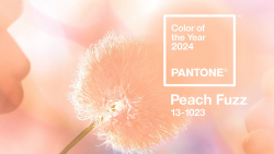 Как сочетать модный оттенок 2024 года от Pantone в интерьере